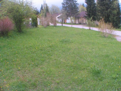 Blick auf die Wiese hinter der Terrasse
